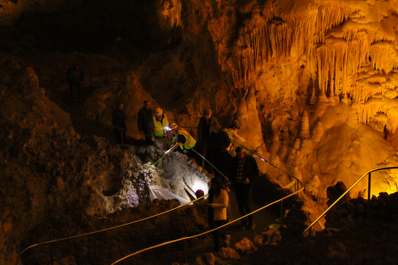 Carlsbad Cavern National Park