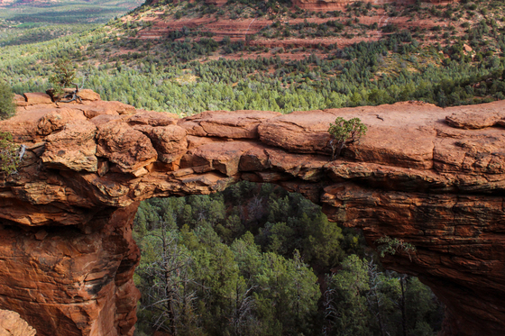 Devil's Bridge - Coconino National Forest