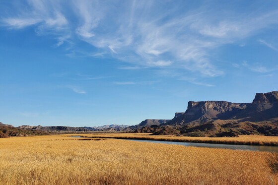 Bill Williams River National Wildlife Refuge