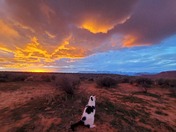 Hurricane Cliffs BLM