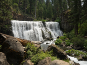 Shasta-Trinity National Forest