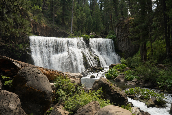 Shasta-Trinity National Forest
