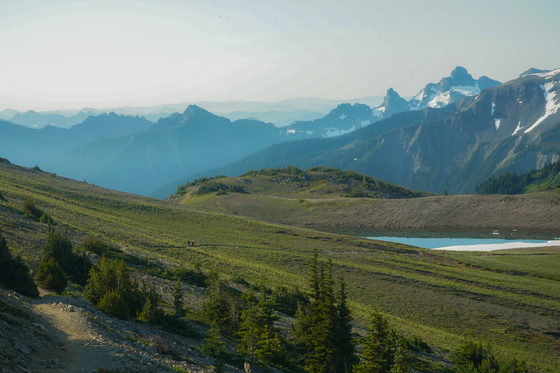 Mount Rainier National Park