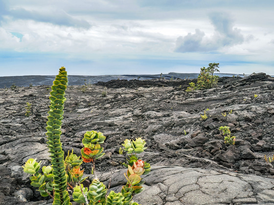Volcanoes National Park