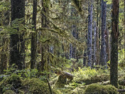 Glacier Bay National Park