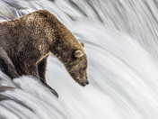 Kenai Fjords National Park