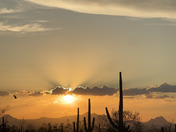 Seguaro National Park