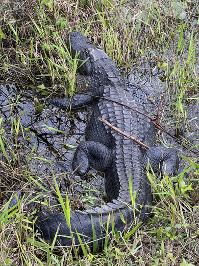 Everglades National Park