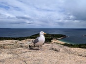 Acadia National Park
