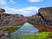 Acadia National Park