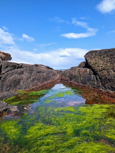 Acadia National Park