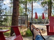 Stanislaus National Forest