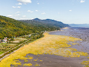 Shorelines of the St-Lawrence river in Petite Rivière St-François, Québec