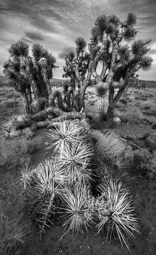 Death Valley National Park