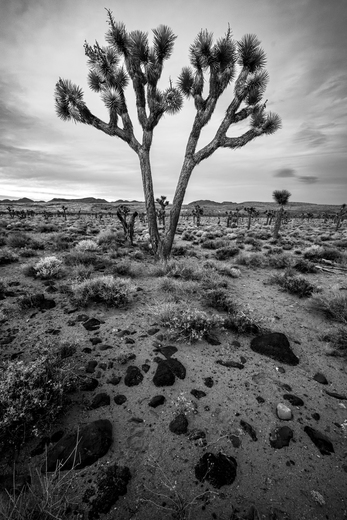 Death Valley National Park