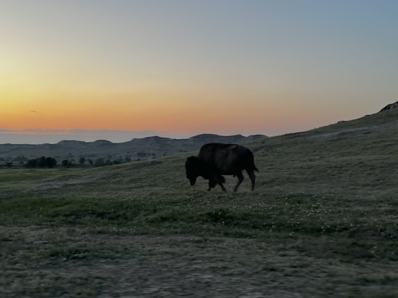 Theodore Roosevelt National Park