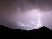 Saguaro National Park