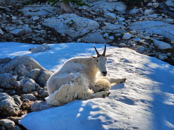 Alpine Lakes Wilderness