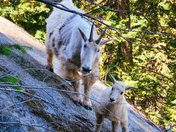 Alpine Lakes Wilderness