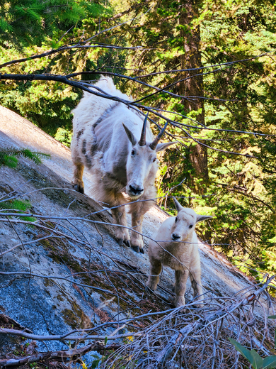 Alpine Lakes Wilderness