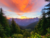 Okanogan-Wenatchee National Forest