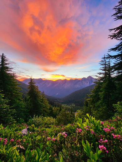 Okanogan-Wenatchee National Forest