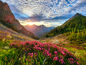 Okanogan-Wenatchee National Forest