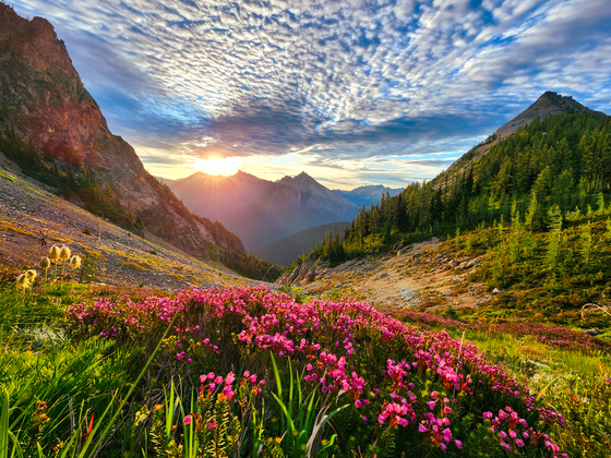 Okanogan-Wenatchee National Forest