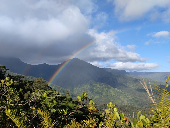 Hanalei National Wildlife Refuge