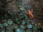 Olympic National Park