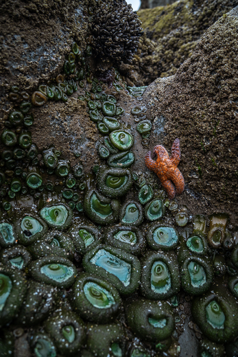 Olympic National Park