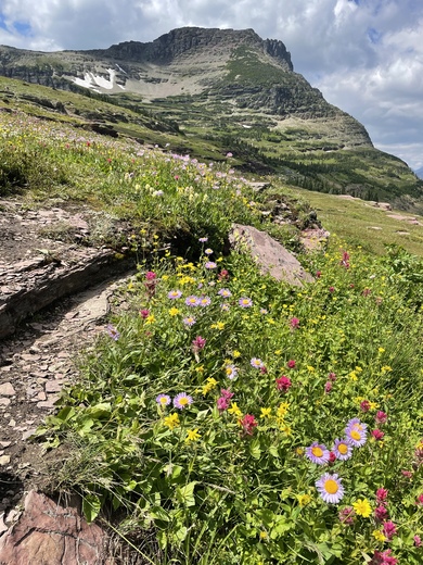 Glacier National Park