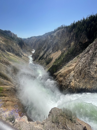 Yellowstone National Park