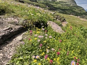 Glacier National Park