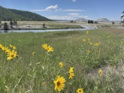 Yellowstone National Park 