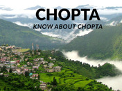 chopta resort