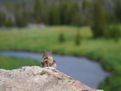Rocky Mountain National Park