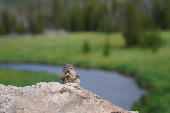 Rocky Mountain National Park