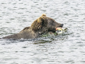 Katmai National Park