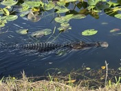 Everglades National Park