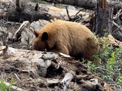 Yosemite National Park