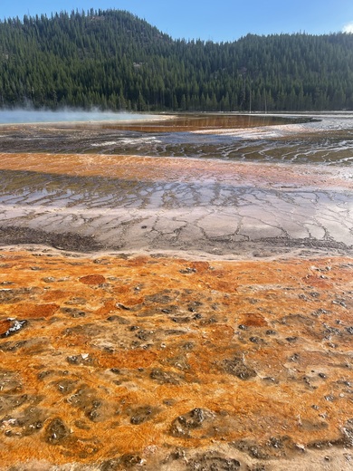 Yellowstone National Park