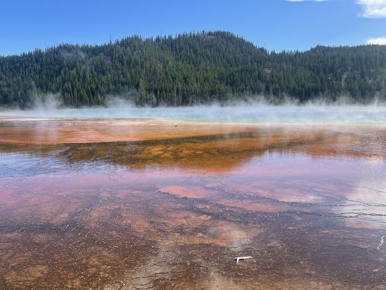 Yellowstone National Park