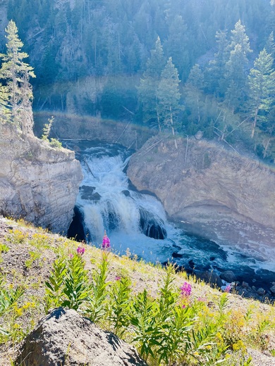 Yellowstone National Park