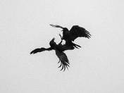 San Juan Island National Park