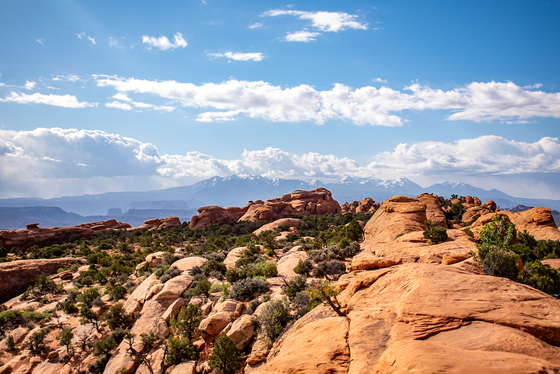 Arches National Park