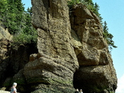 Hopewell Rocks Provincial Park