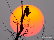 Watching the sun set