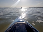 Rush Hour at the Lake