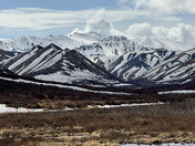Denali National Park